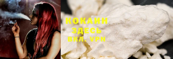 мдпв Каменногорск