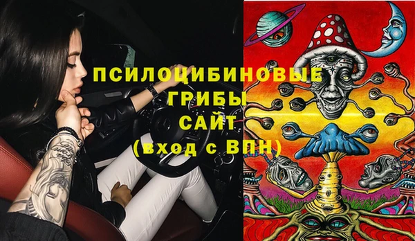 мдпв Каменногорск