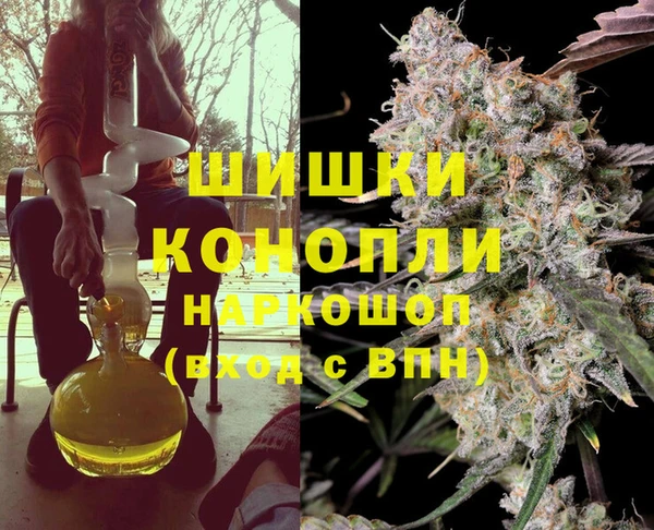 мдпв Каменногорск